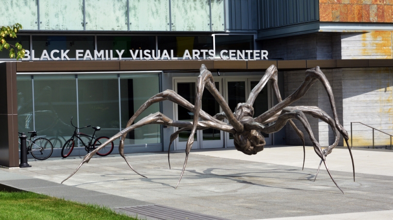 black family visual arts center